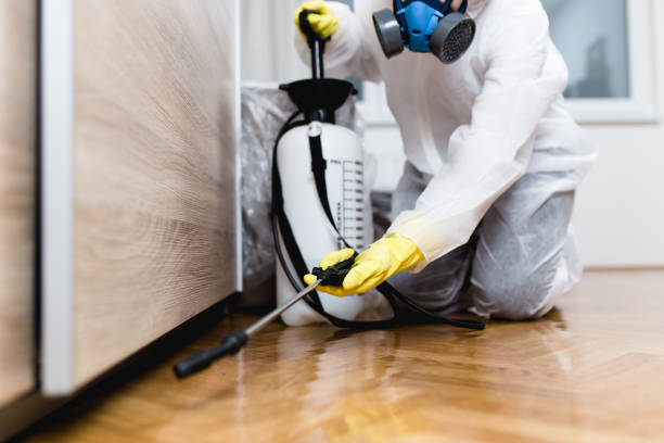 Best Pest Inspection Near Me  in Shippensburg University, PA