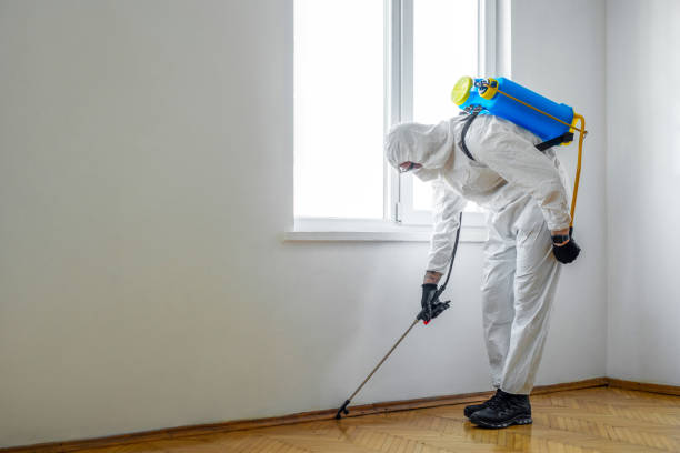 Best Pest Removal Services  in Shippensburg University, PA