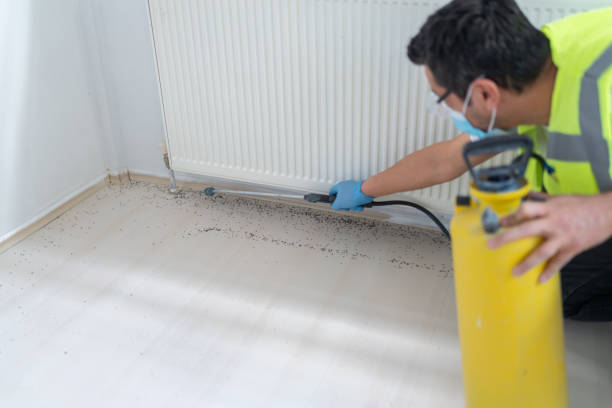 Best Local Pest Control Services  in Shippensburg University, PA
